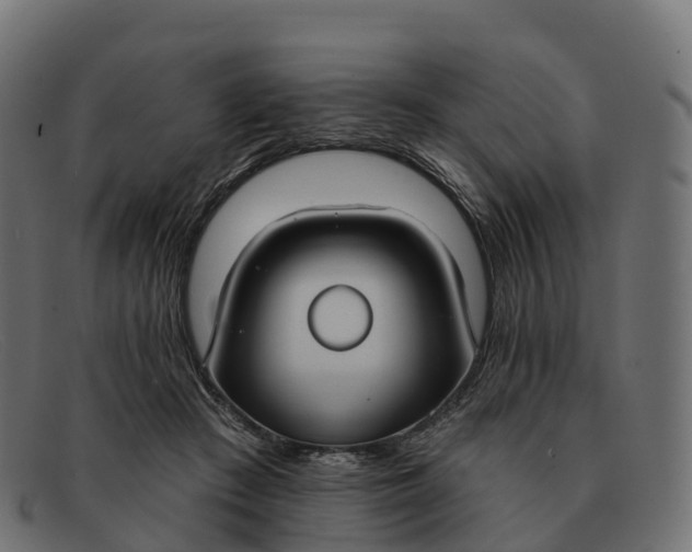 X0000091690409200709131611