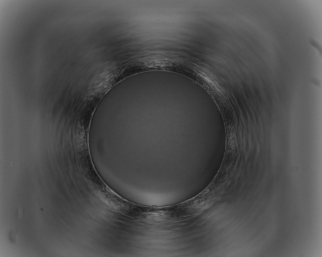 X0000091690411200709131611