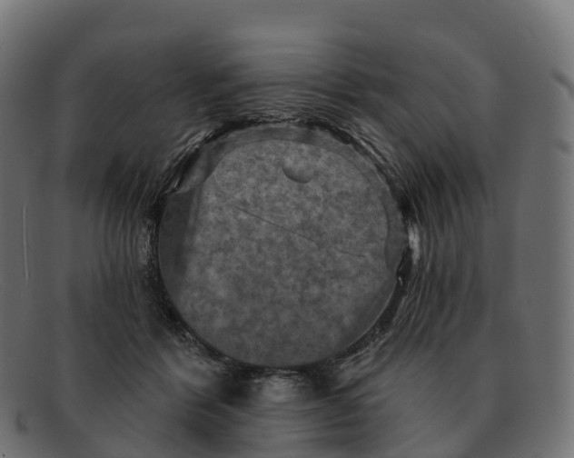 X0000091690412200709131611