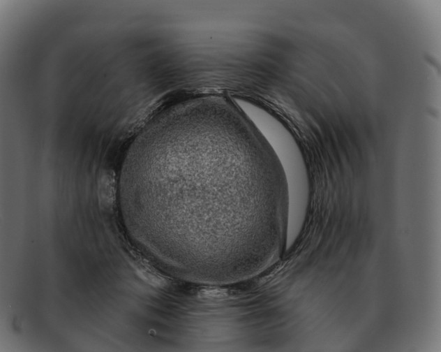 X0000091690413200709131611