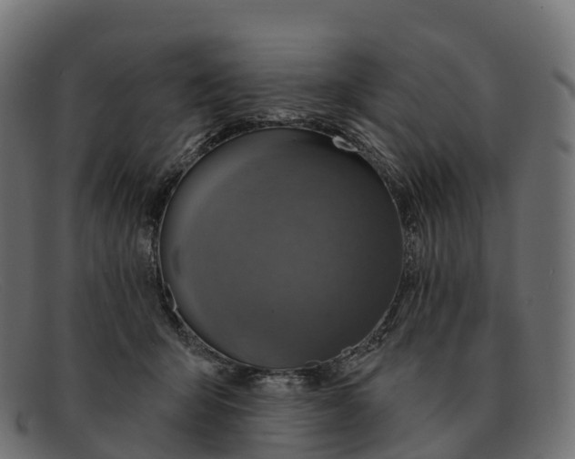 X0000091690415200709131610