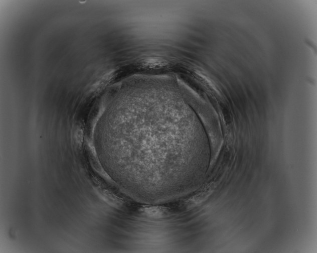 X0000091690417200709131610