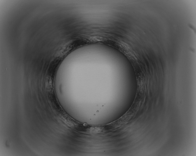 X0000091690418200709131610