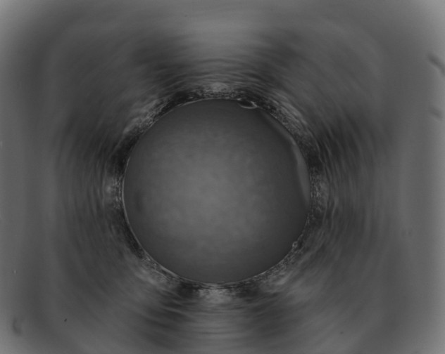 X0000091690419200709131610