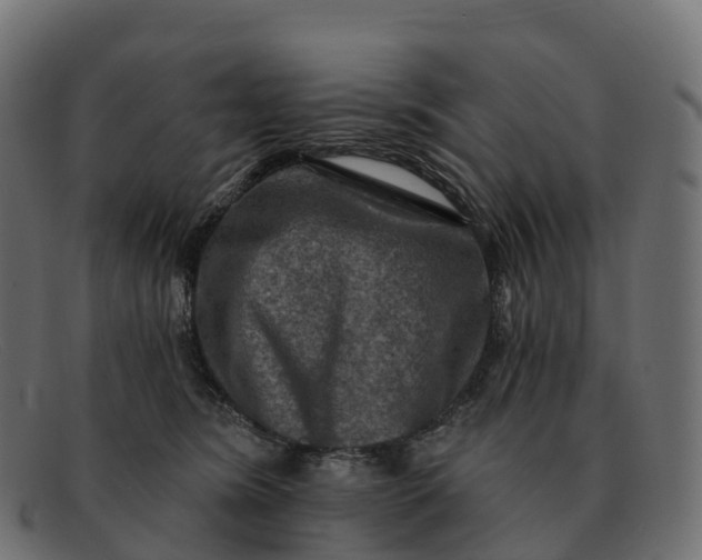 X0000091690420200709131610