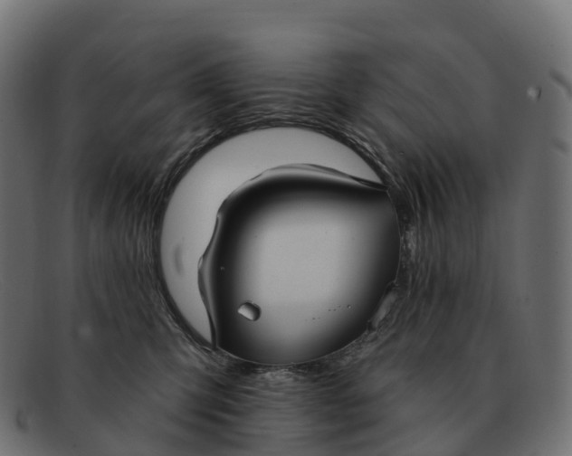 X0000091690423200709131610