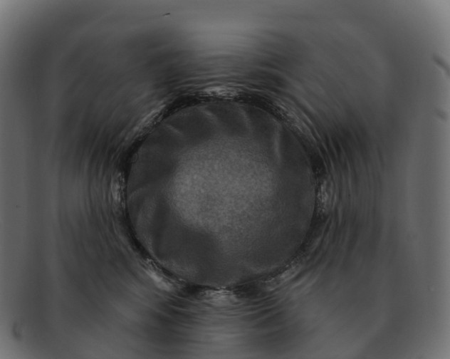 X0000091690424200709131610