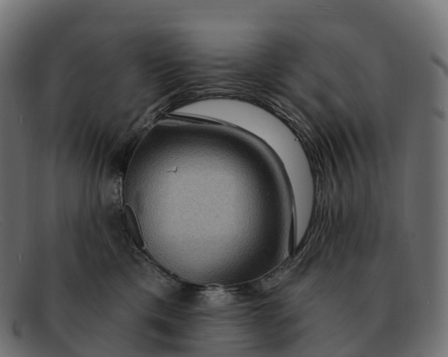 X0000091690425200709131610