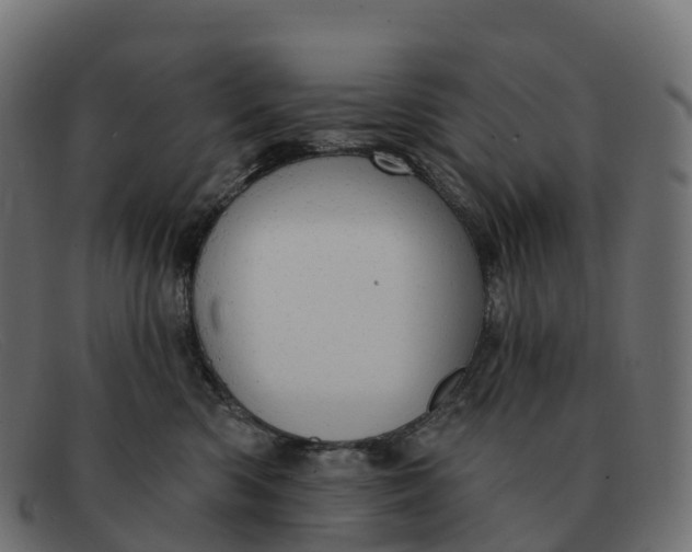 X0000091690426200709131610