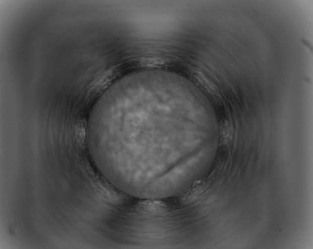 X0000091690427200709131610