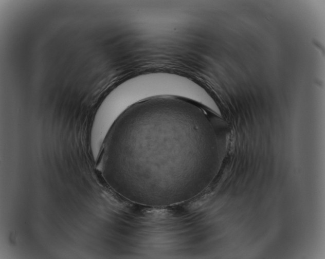 X0000091690428200709131610