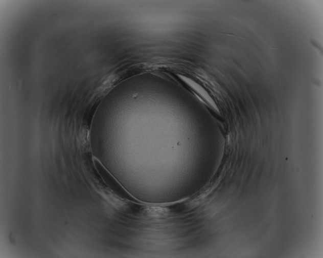 X0000091690429200709131610