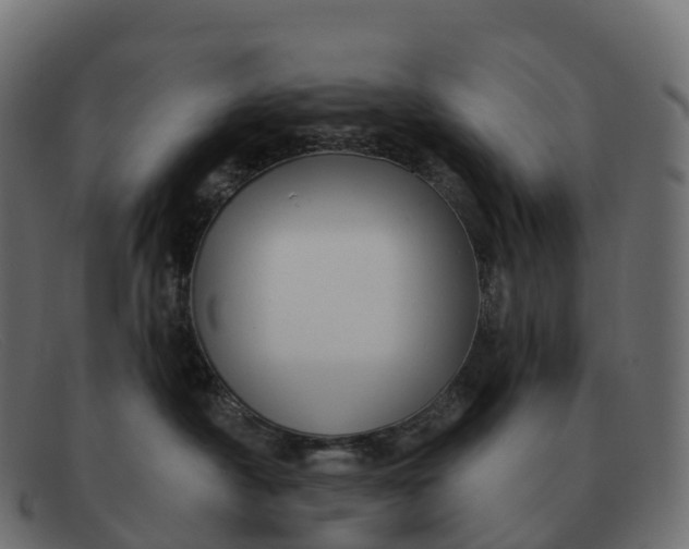 X0000091690430200709131610