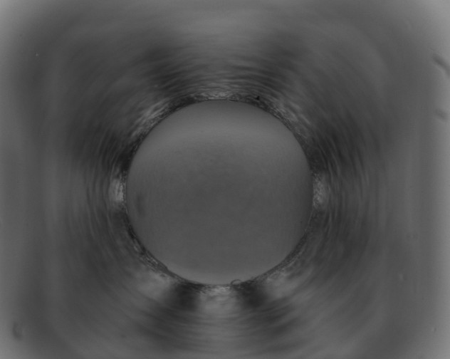 X0000091690431200709131610