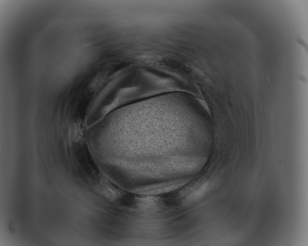 X0000091690432200709131610