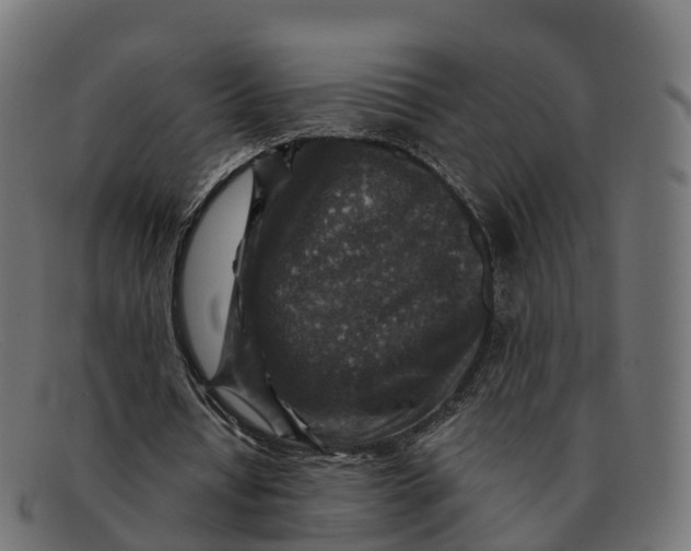 X0000091690434200709131610