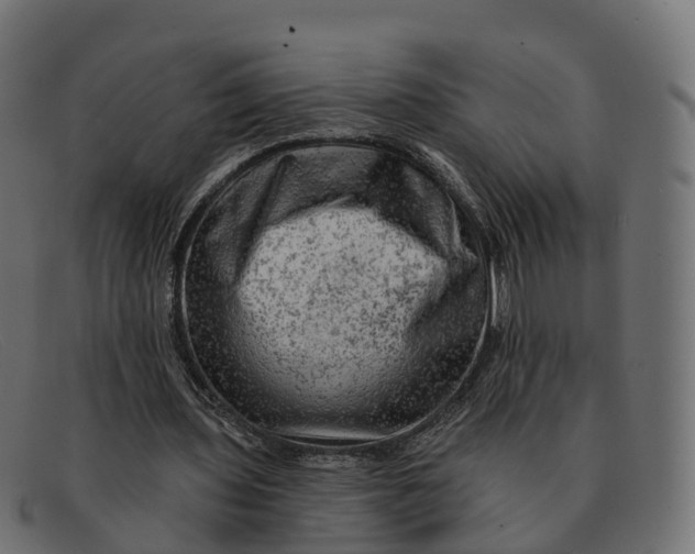 X0000091690435200709131610