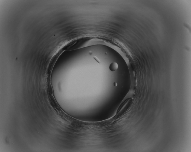 X0000091690436200709131610