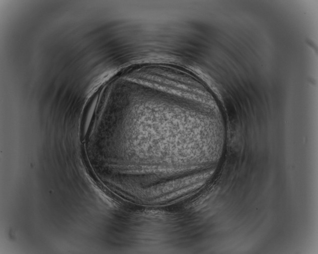 X0000091690437200709131610