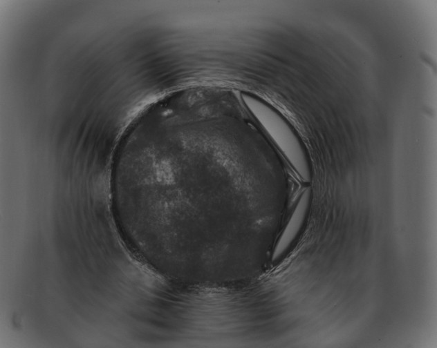 X0000091690438200709131610