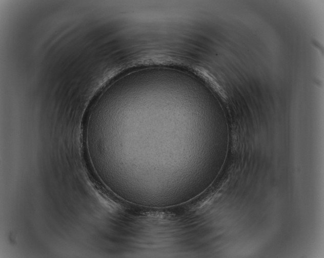 X0000091690439200709131610