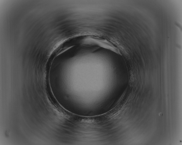 X0000091690440200709131610