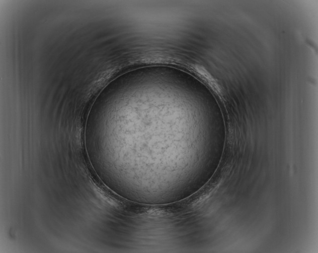 X0000091690441200709131610