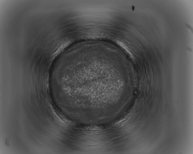 X0000091690443200709131610