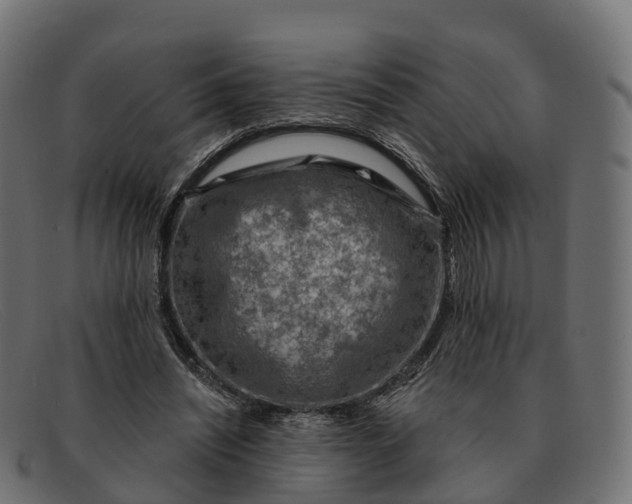 X0000091690444200709131610