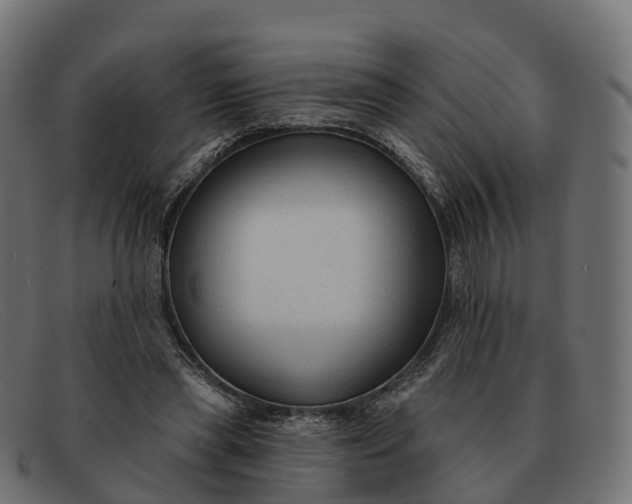 X0000091690445200709131610