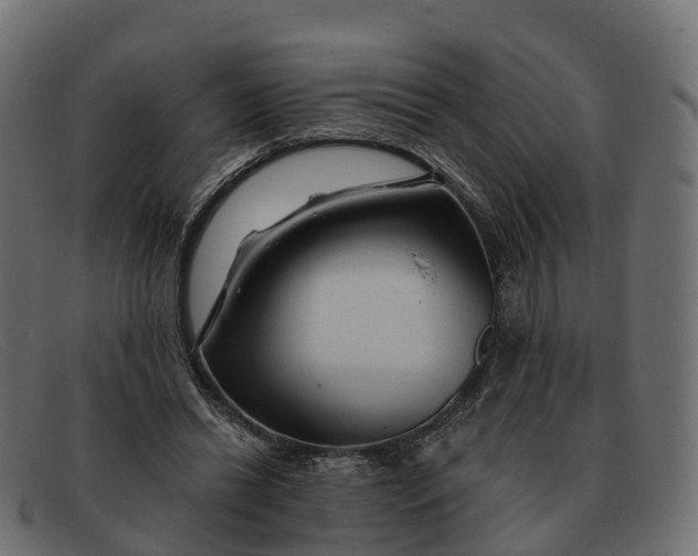 X0000091690446200709131610