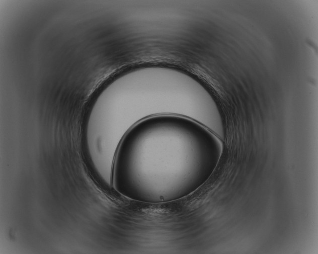 X0000091690448200709131610