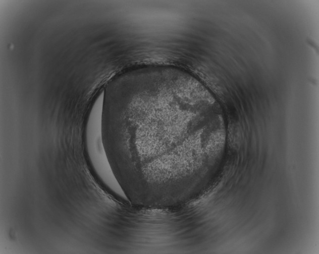 X0000091690449200709131610