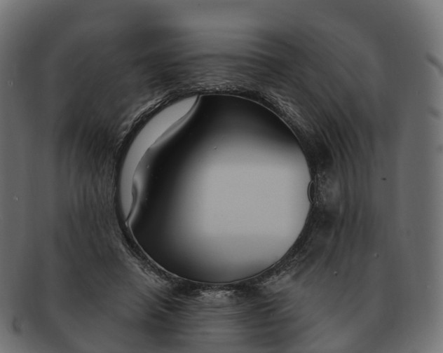 X0000091690450200709131610