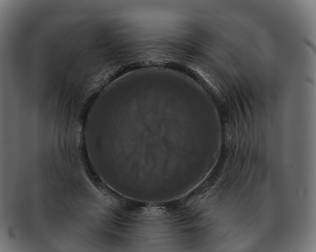 X0000091690451200709131610