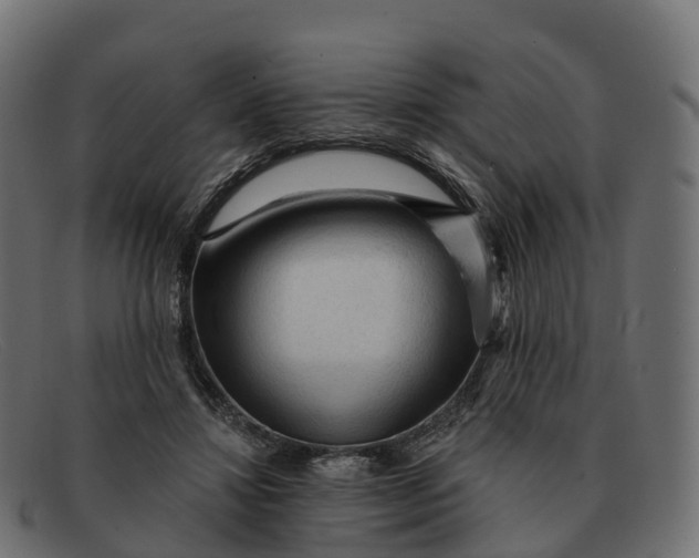 X0000091690452200709131610