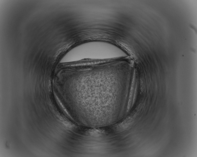 X0000091690453200709131610