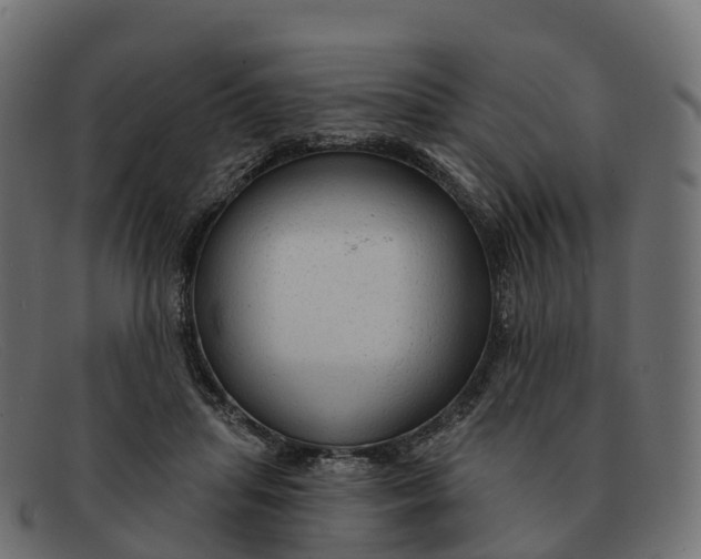 X0000091690455200709131610