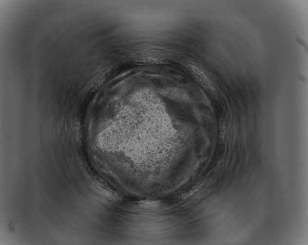 X0000091690457200709131610