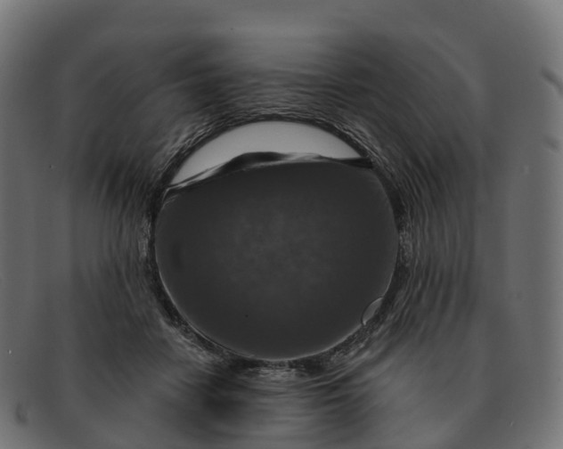 X0000091690458200709131610