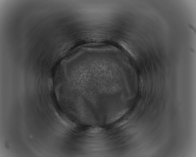 X0000091690459200709131610