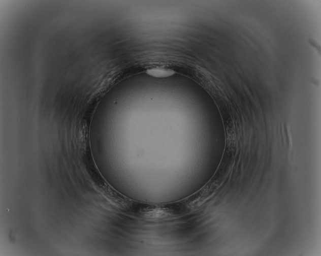 X0000091690460200709131610