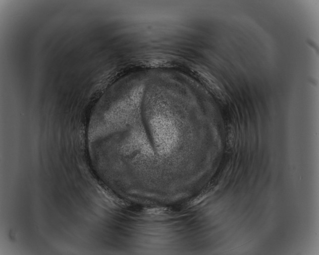 X0000091690461200709131610