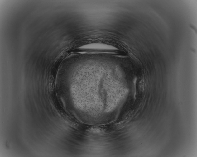 X0000091690464200709131610