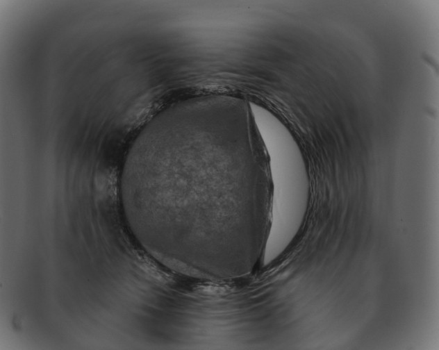 X0000091690466200709131610