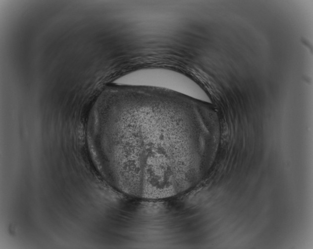 X0000091690469200709131610