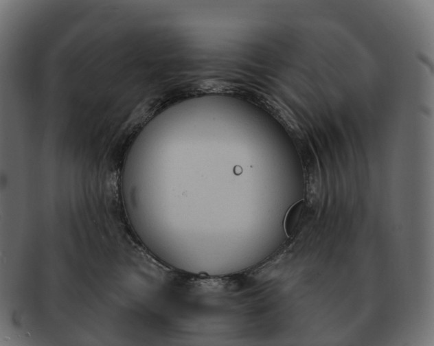 X0000091690473200709131610