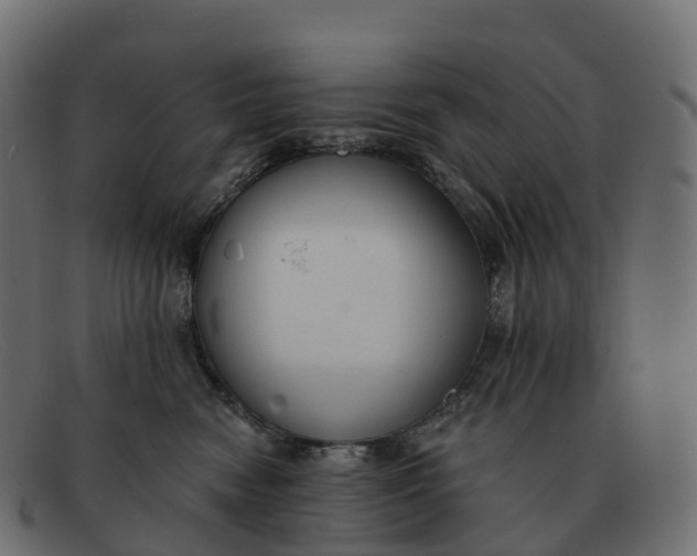 X0000091690474200709131610