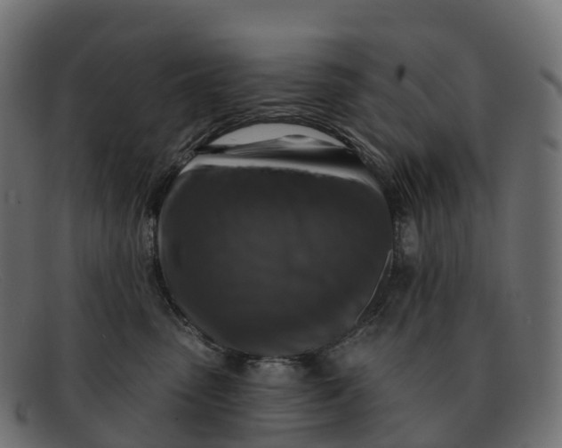 X0000091690475200709131610