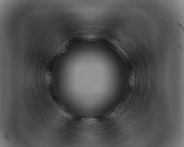 X0000091690476200709131610